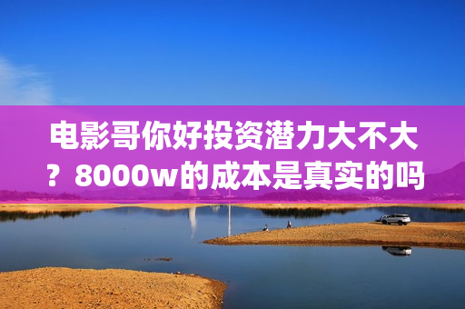 电影哥你好投资潜力大不大？8000w的成本是真实的吗？(哥弟你好)