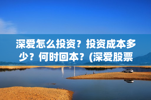 深爱怎么投资？投资成本多少？何时回本？(深爱股票833378)