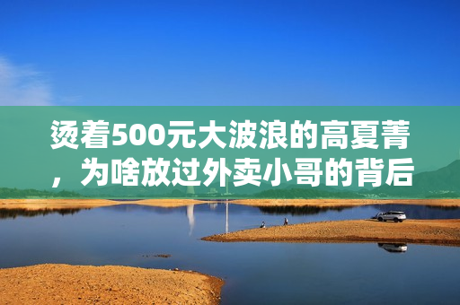 烫着500元大波浪的高夏菁，为啥放过外卖小哥的背后全是算计？