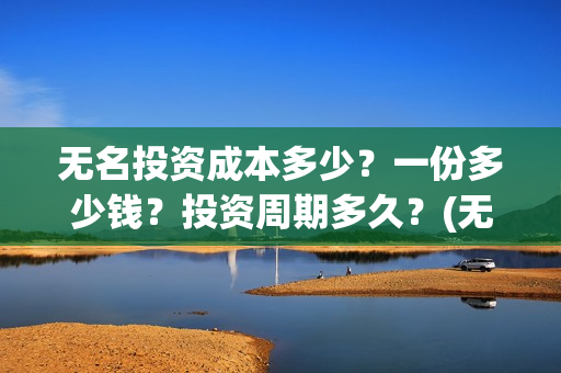 无名投资成本多少？一份多少钱？投资周期多久？(无名创投)