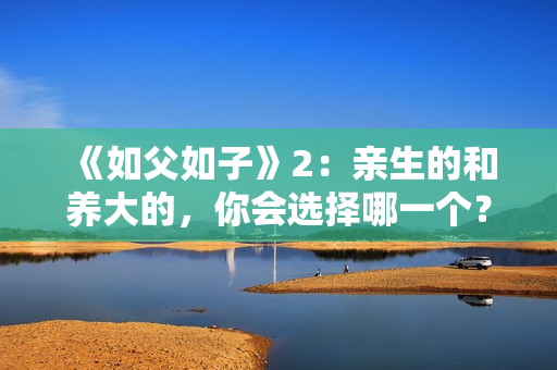 《如父如子》2:亲生的和养大的,你会选择哪一个? 《如父如子》2:亲生的和养大的,你会选择哪一个?