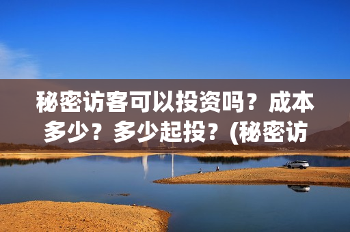 秘密访客可以投资吗？成本多少？多少起投？(秘密访客害怕么)