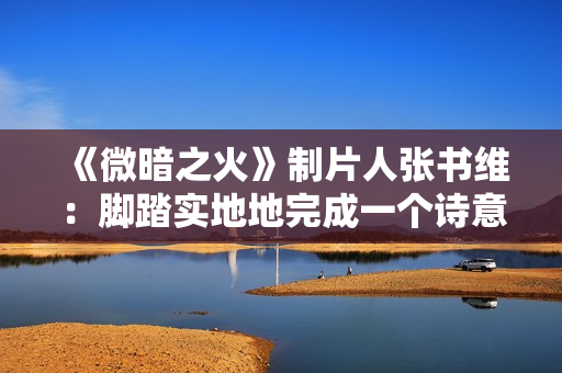 《微暗之火》制片人张书维：脚踏实地地完成一个诗意的项目