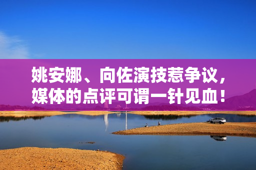 姚安娜、向佐演技惹争议，媒体的点评可谓一针见血！