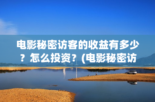 电影秘密访客的收益有多少？怎么投资？(电影秘密访客的内容)