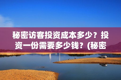 秘密访客投资成本多少？投资一份需要多少钱？(秘密访客投资门槛高吗?)