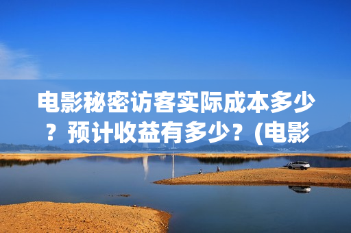 电影秘密访客实际成本多少？预计收益有多少？(电影秘密访客的真相)
