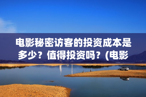 电影秘密访客的投资成本是多少？值得投资吗？(电影 秘密访客)