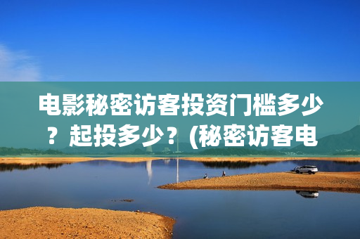 电影秘密访客投资门槛多少？起投多少？(秘密访客电影投资效果价目表)