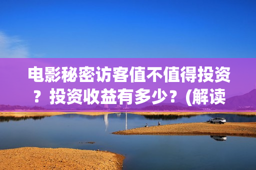 电影秘密访客值不值得投资？投资收益有多少？(解读电影秘密访客)
