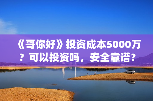 《哥你好》投资成本5000万？可以投资吗，安全靠谱？(《哥你好》投资多少钱)
