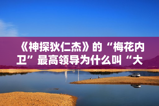 《神探狄仁杰》的“梅花内卫”最高领导为什么叫“大阁领”？