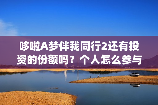 哆啦A梦伴我同行2还有投资的份额吗？个人怎么参与？(哆啦a梦伴我同行)