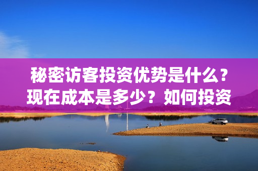 秘密访客投资优势是什么？现在成本是多少？如何投资？(秘密访客成本)