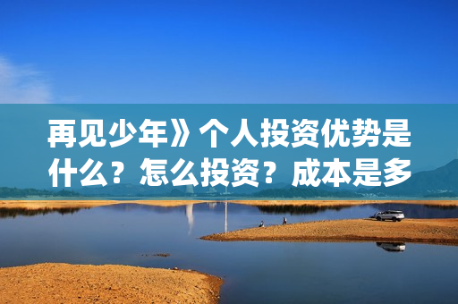 再见少年》个人投资优势是什么？怎么投资？成本是多少？(再见少年简介)