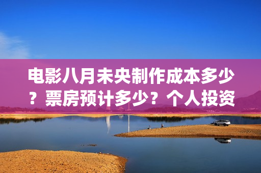 电影八月未央制作成本多少？票房预计多少？个人投资份额真实吗？(电影八月未央制片人是谁)