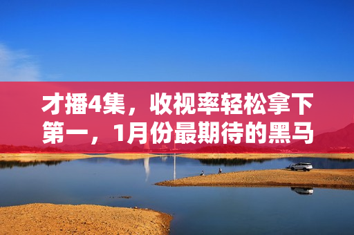 才播4集，收视率轻松拿下第一，1月份最期待的黑马剧开播就炸了