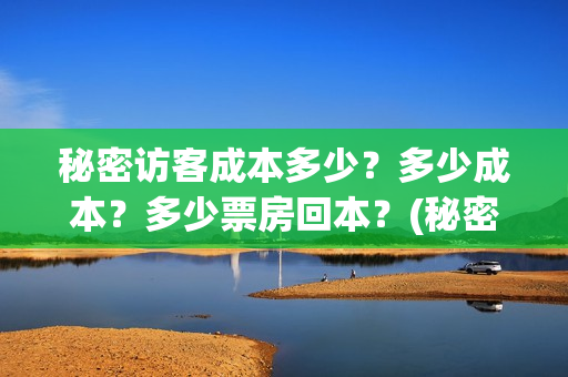 秘密访客成本多少？多少成本？多少票房回本？(秘密访客访客是谁)