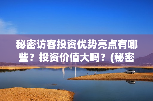 秘密访客投资优势亮点有哪些？投资价值大吗？(秘密访客 投资方)