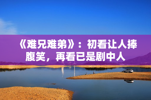 《难兄难弟》：初看让人捧腹笑，再看已是剧中人