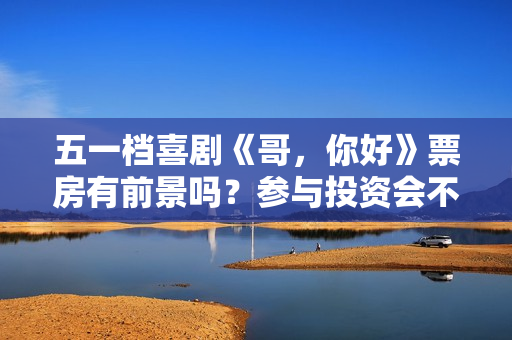 五一档喜剧《哥，你好》票房有前景吗？参与投资会不会亏本？
