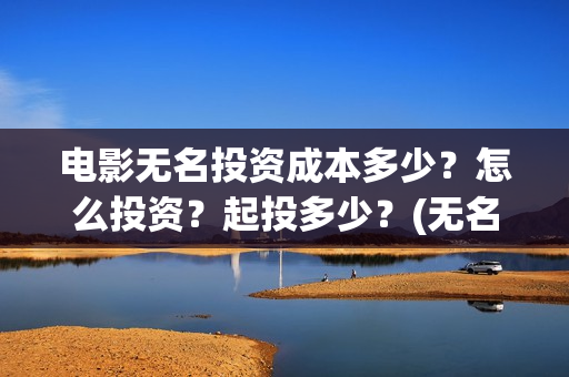 电影无名投资成本多少？怎么投资？起投多少？(无名电影演员)