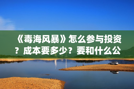 《毒海风暴》怎么参与投资？成本要多少？要和什么公司签？(毒海风暴成本)
