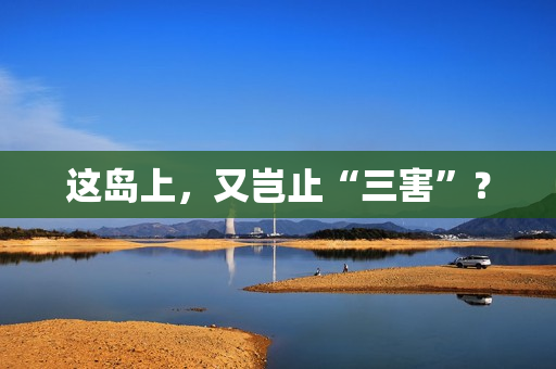 这岛上，又岂止“三害”？