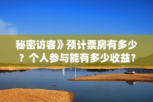 秘密访客》预计票房有多少？个人参与能有多少收益？(秘密访客详细剧情)