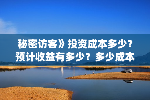 秘密访客》投资成本多少？预计收益有多少？多少成本？(秘密访客演什么)