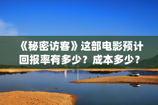 《秘密访客》这部电影预计回报率有多少?成本多少?(秘密访客到底演了个啥) 《秘密访客》这部电影预计回报率有多少?成本多少?(秘密访客到底演了个啥)