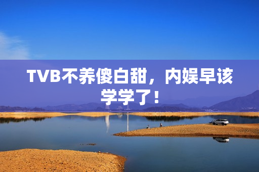 TVB不养傻白甜，内娱早该学学了！