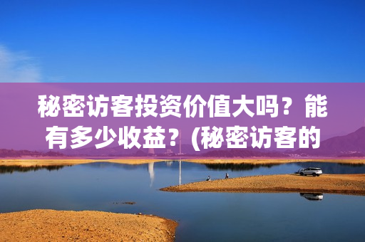 秘密访客投资价值大吗?能有多少收益?(秘密访客的票价) 秘密访客投资价值大吗?能有多少收益?(秘密访客的票价)