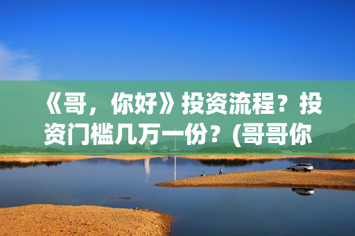 《哥，你好》投资流程？投资门槛几万一份？(哥哥你好语音)