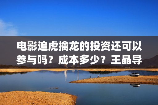 电影追虎擒龙的投资还可以参与吗？成本多少？王晶导演票房好吗？(电影追虎擒龙的导演是谁)