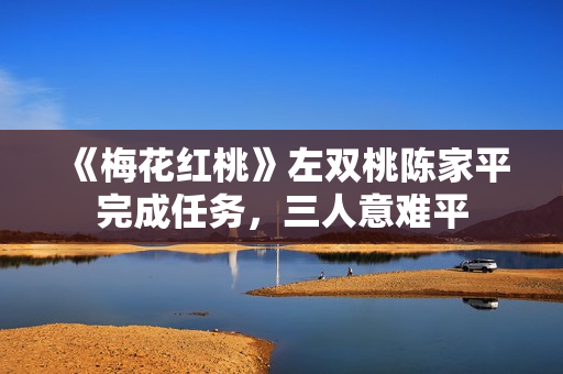 《梅花红桃》左双桃陈家平完成任务,三人意难平 《梅花红桃》左双桃陈家平完成任务,三人意难平