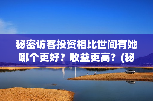 秘密访客投资相比世间有她哪个更好?收益更高?(秘密访客总投资) 秘密访客投资相比世间有她哪个更好?收益更高?(秘密访客总投资)
