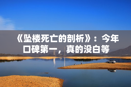 《坠楼死亡的剖析》：今年口碑第一，真的没白等
