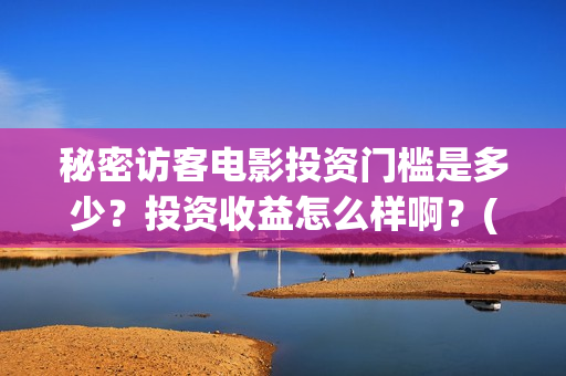 秘密访客电影投资门槛是多少？投资收益怎么样啊？(秘密访客电影投资多少钱)