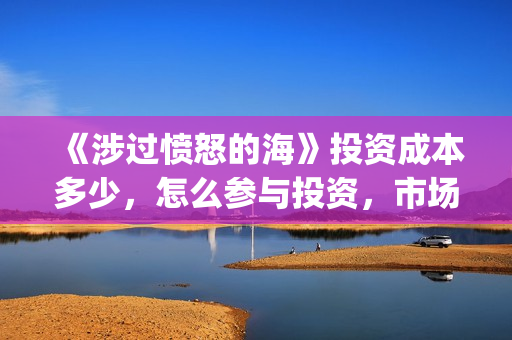 《涉过愤怒的海》投资成本多少，怎么参与投资，市场风险如何？(涉过愤怒的海周依然做出的牺牲)