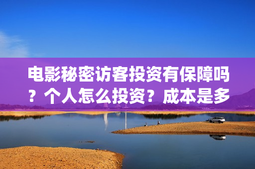 电影秘密访客投资有保障吗？个人怎么投资？成本是多少？(秘密访客电影票)
