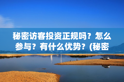 秘密访客投资正规吗？怎么参与？有什么优势？(秘密访客自首)