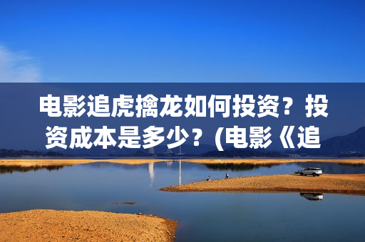 电影追虎擒龙如何投资？投资成本是多少？(电影《追虎擒龙》)