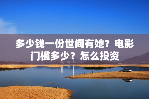多少钱一份世间有她？电影门槛多少？怎么投资