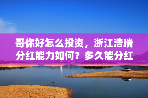 哥你好怎么投资，浙江浩瑞分红能力如何？多久能分红？(你好哥哥)