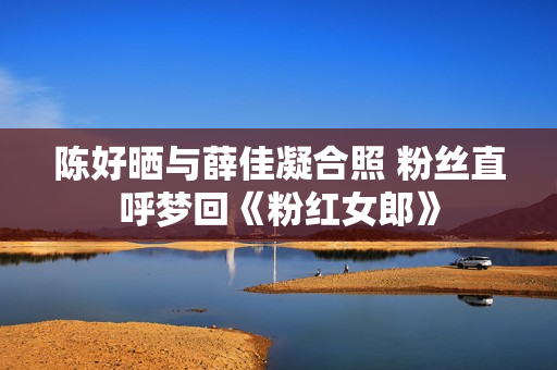 陈好晒与薛佳凝合照 粉丝直呼梦回《粉红女郎》