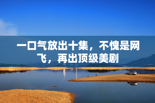 一口气放出十集，不愧是网飞，再出顶级美剧