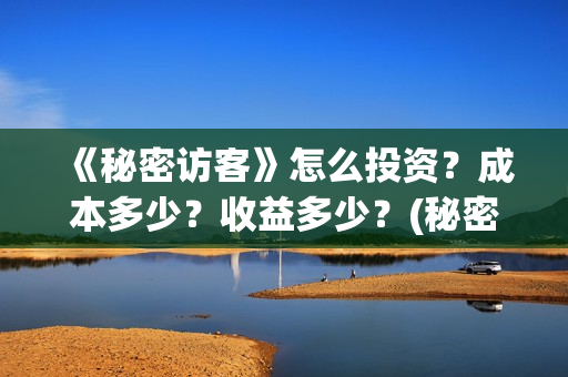 《秘密访客》怎么投资？成本多少？收益多少？(秘密访客详细解析)