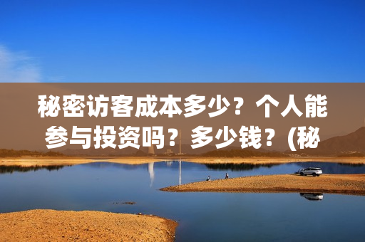 秘密访客成本多少？个人能参与投资吗？多少钱？(秘密访客总投资多少)