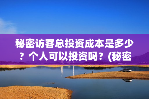 秘密访客总投资成本是多少？个人可以投资吗？(秘密访客总投资多少钱)